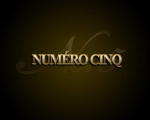 numerocinqlogo