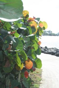 IMG_8602