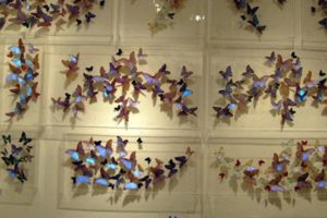 butterly-displays-640_s640x427