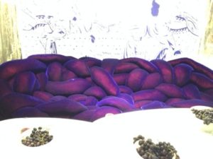 purplecushions